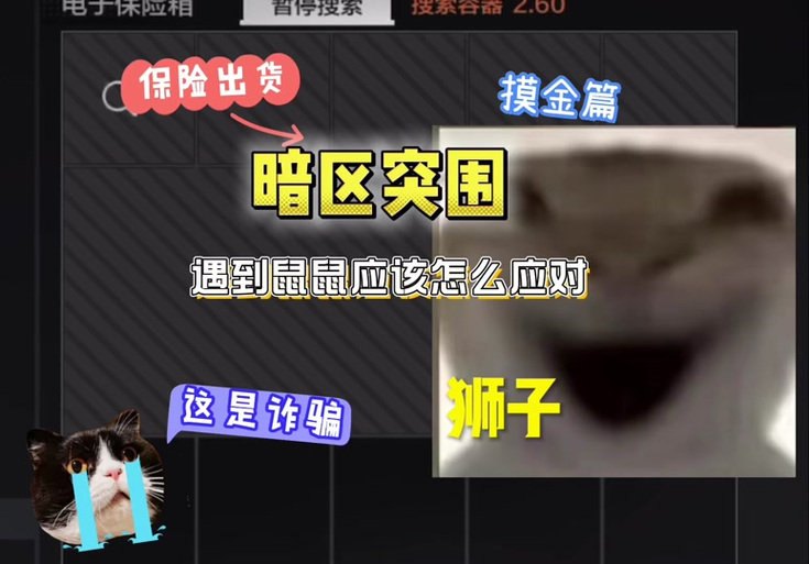 暗区黄鹂鸟直装科技_暗区黄鹂鸟直装科技_暗区黄鹂鸟直装科技